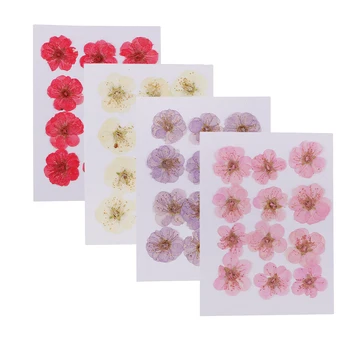 12pcs Pressionado/Flores Secas Wintersweet DIY Scrapbook Cartão de Arte, de Artesanato de Material