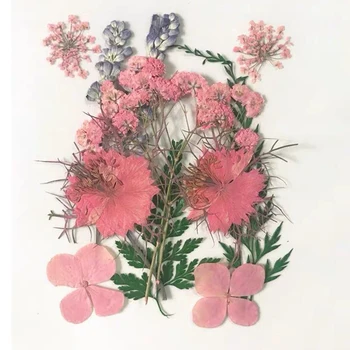 Recém-Pressionado Flor Misto de Flores Secas de Material para DIY de Aromaterapia, Velas de Cartão de Saudação Epoxi Artesanato Brincos