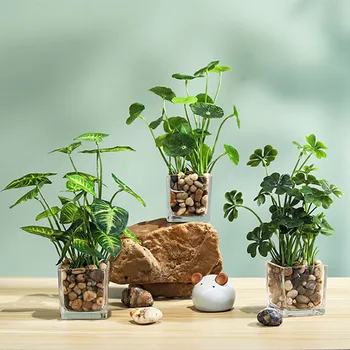Simulação Verde Dill Um Vaso De Planta De Simulação Suculenta Pequeno Bonsai Simulação Verde Dill Vaso De Falsos Bonsai Vaso De Plantas De Ornamento
